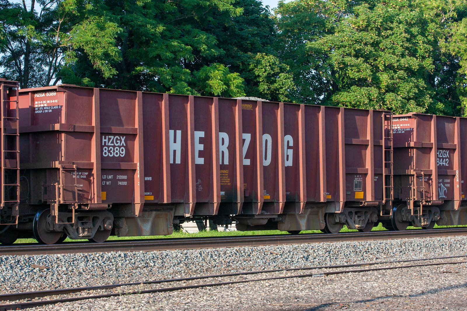 HZGX 8389