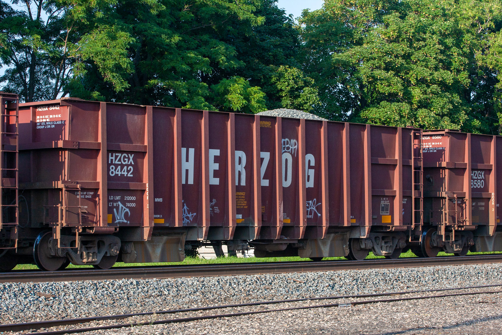 HZGX 8442