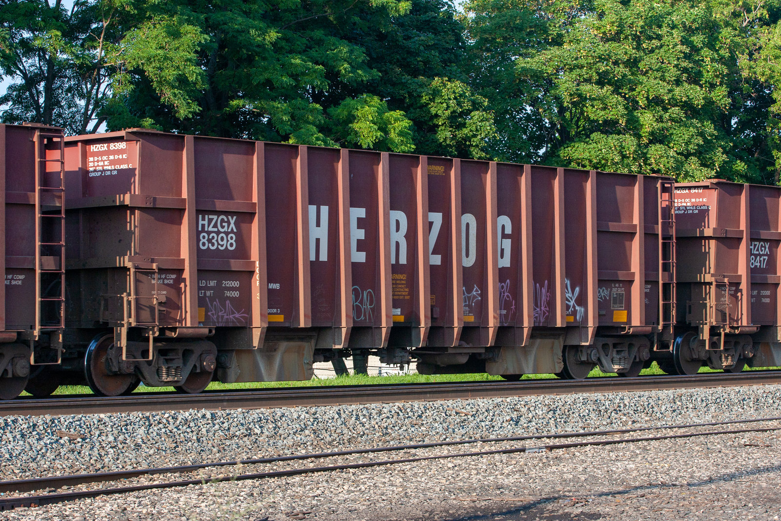HZGX 8398