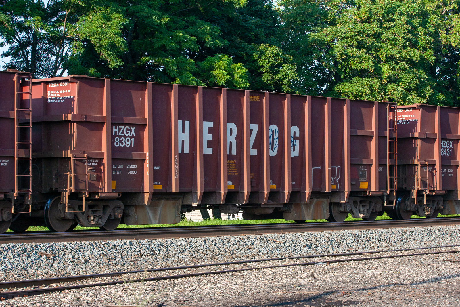HZGX 8391