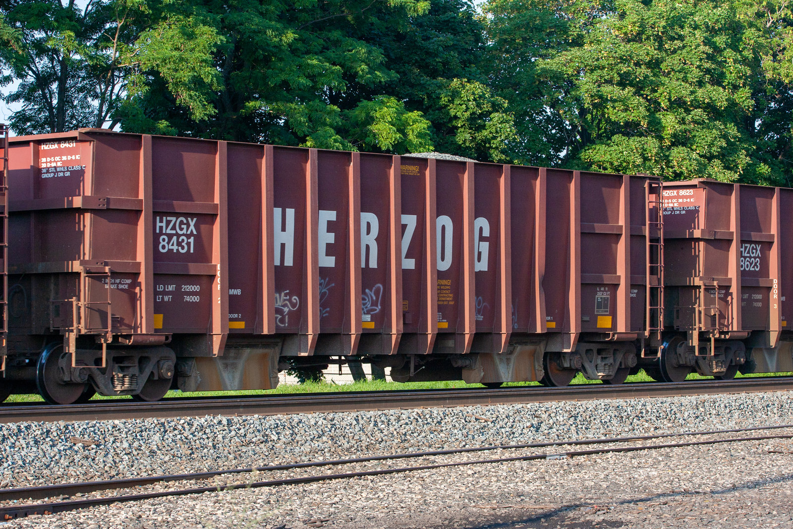 HZGX 8431