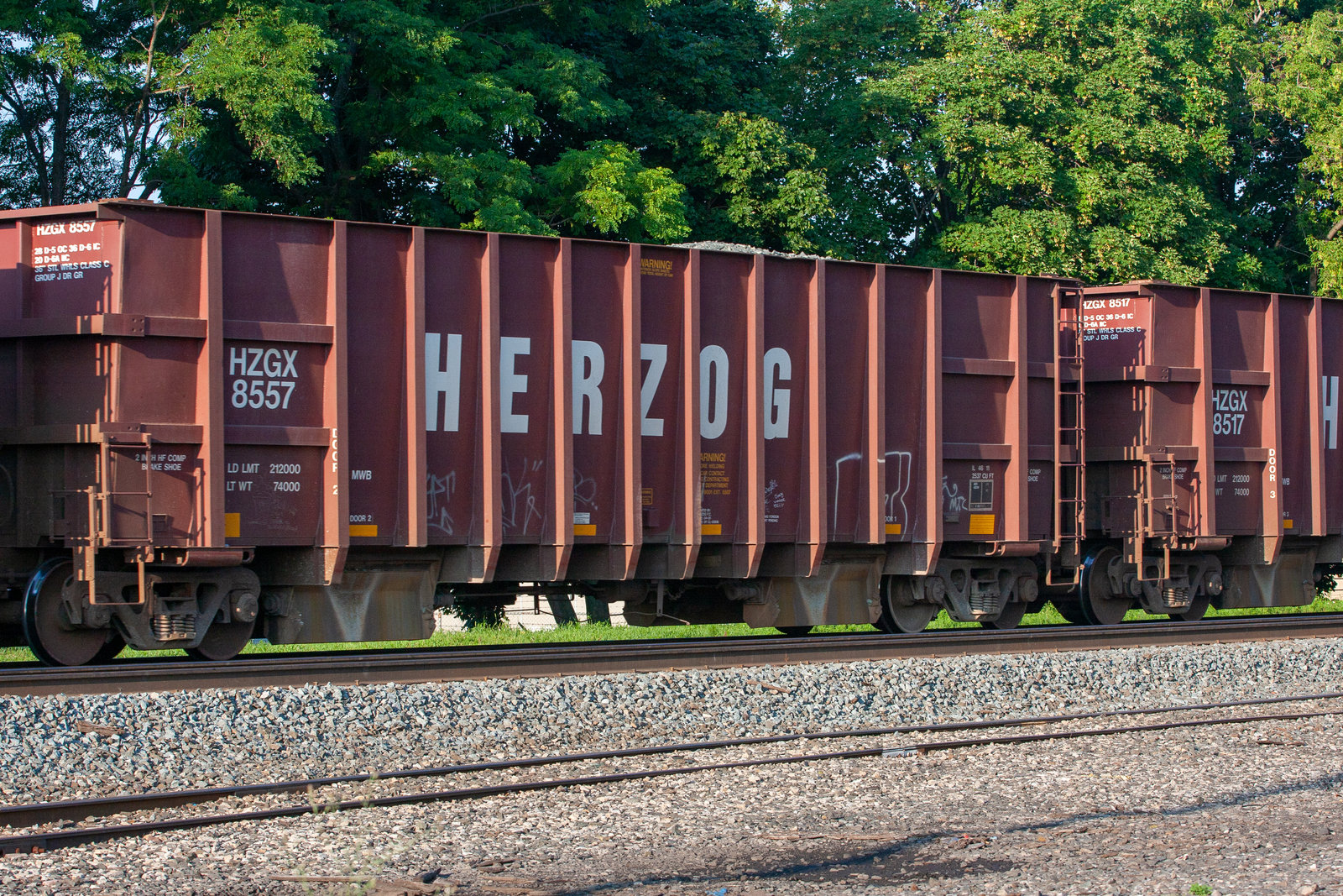 HZGX 8557