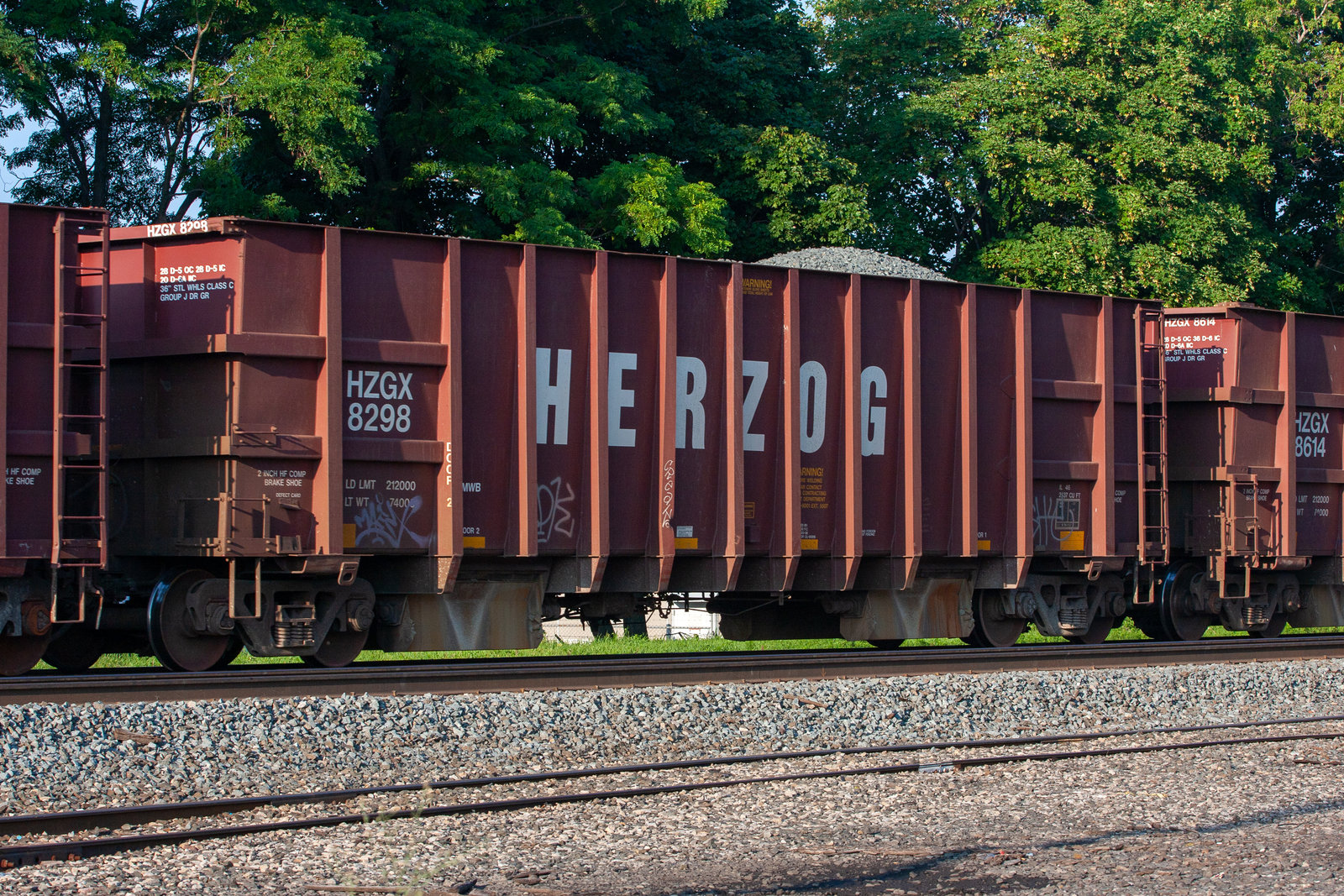 HZGX 8298
