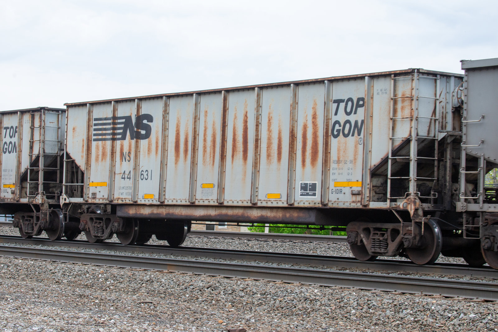 NS 44631