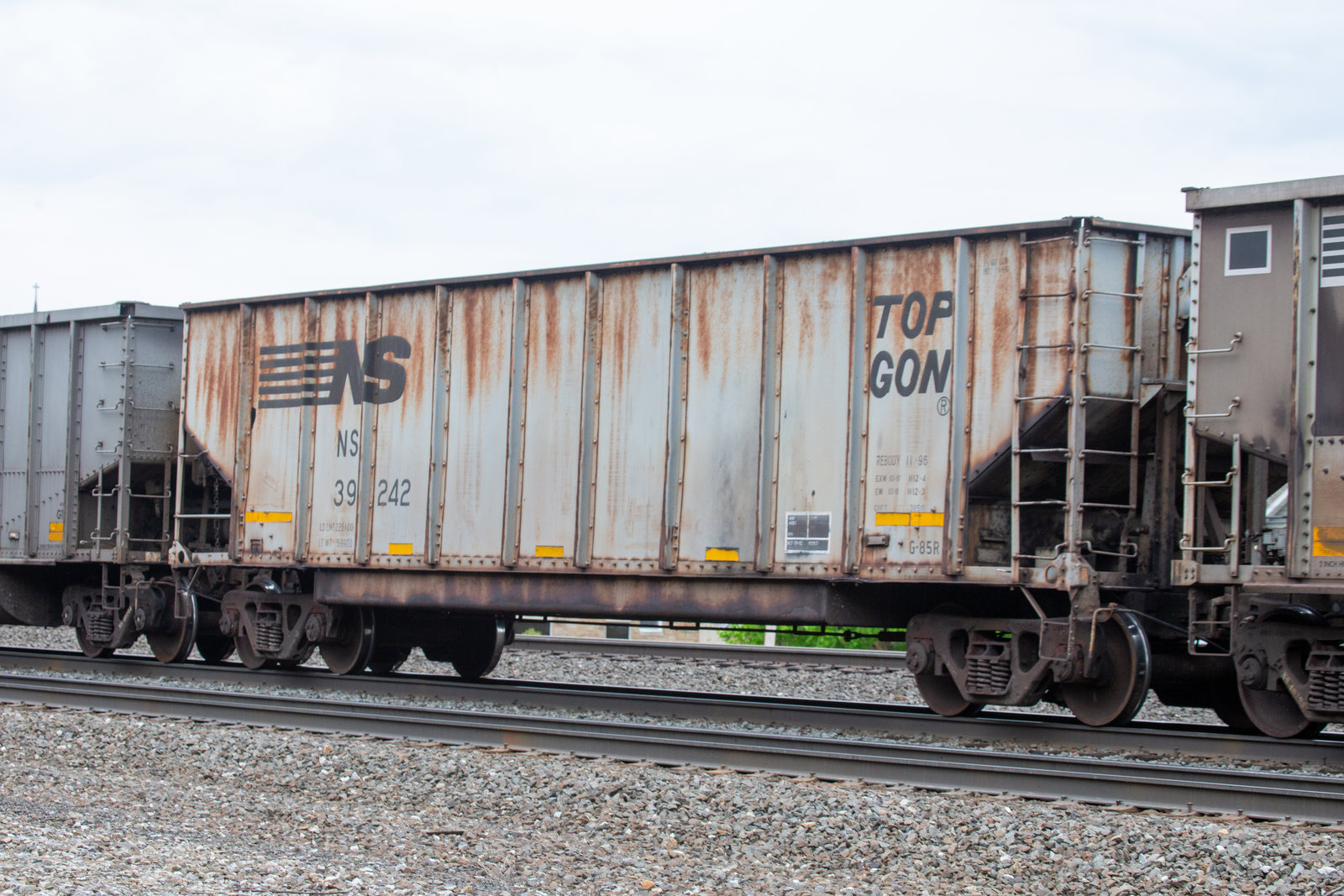 NS 39242