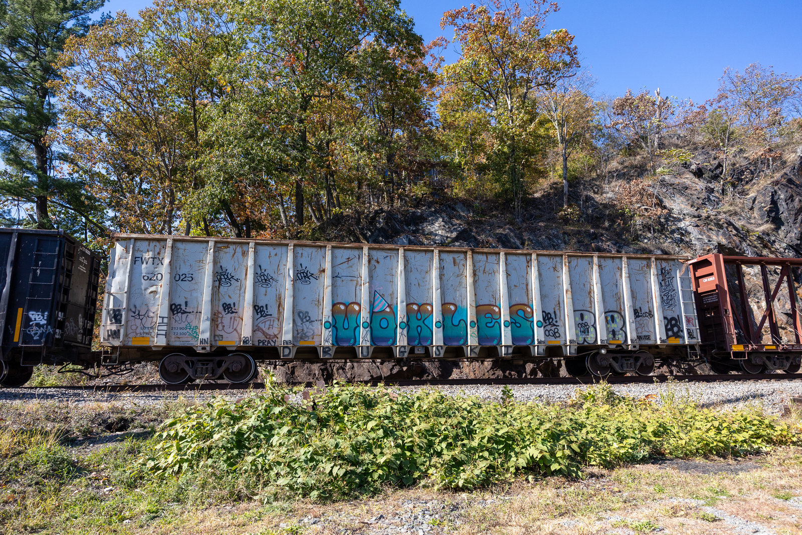 FWTX 620025