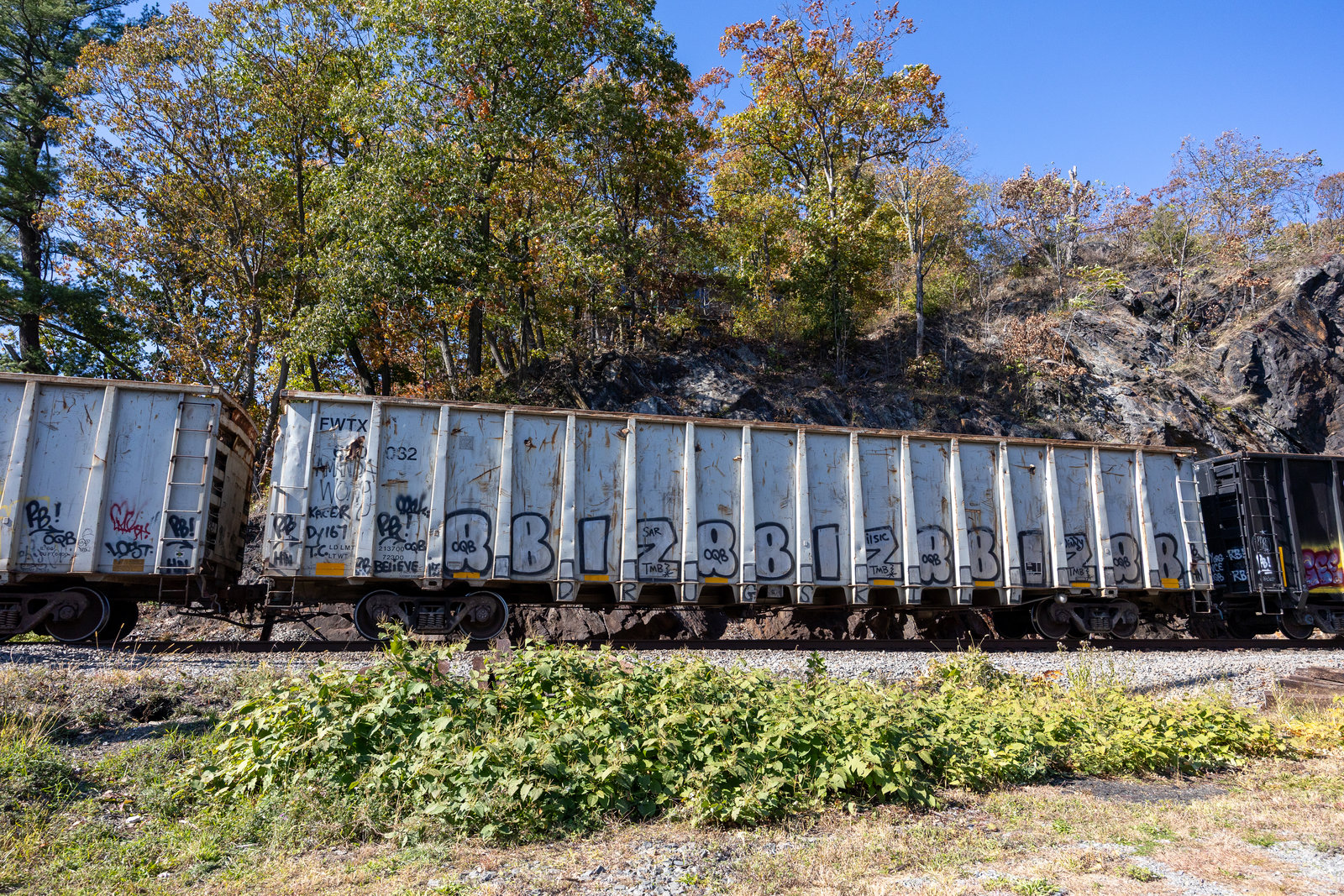 FWTX 620032
