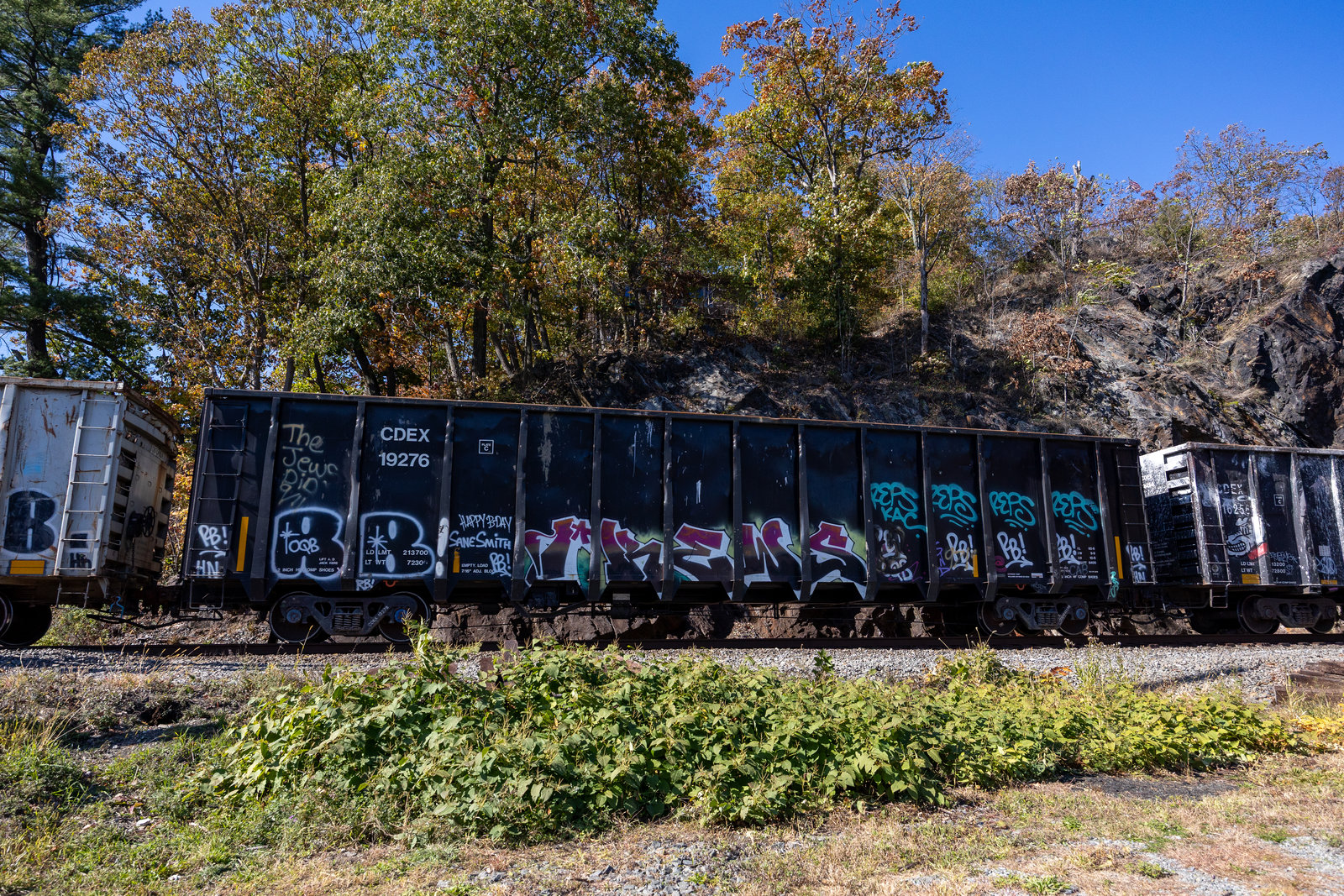 CDEX 19276