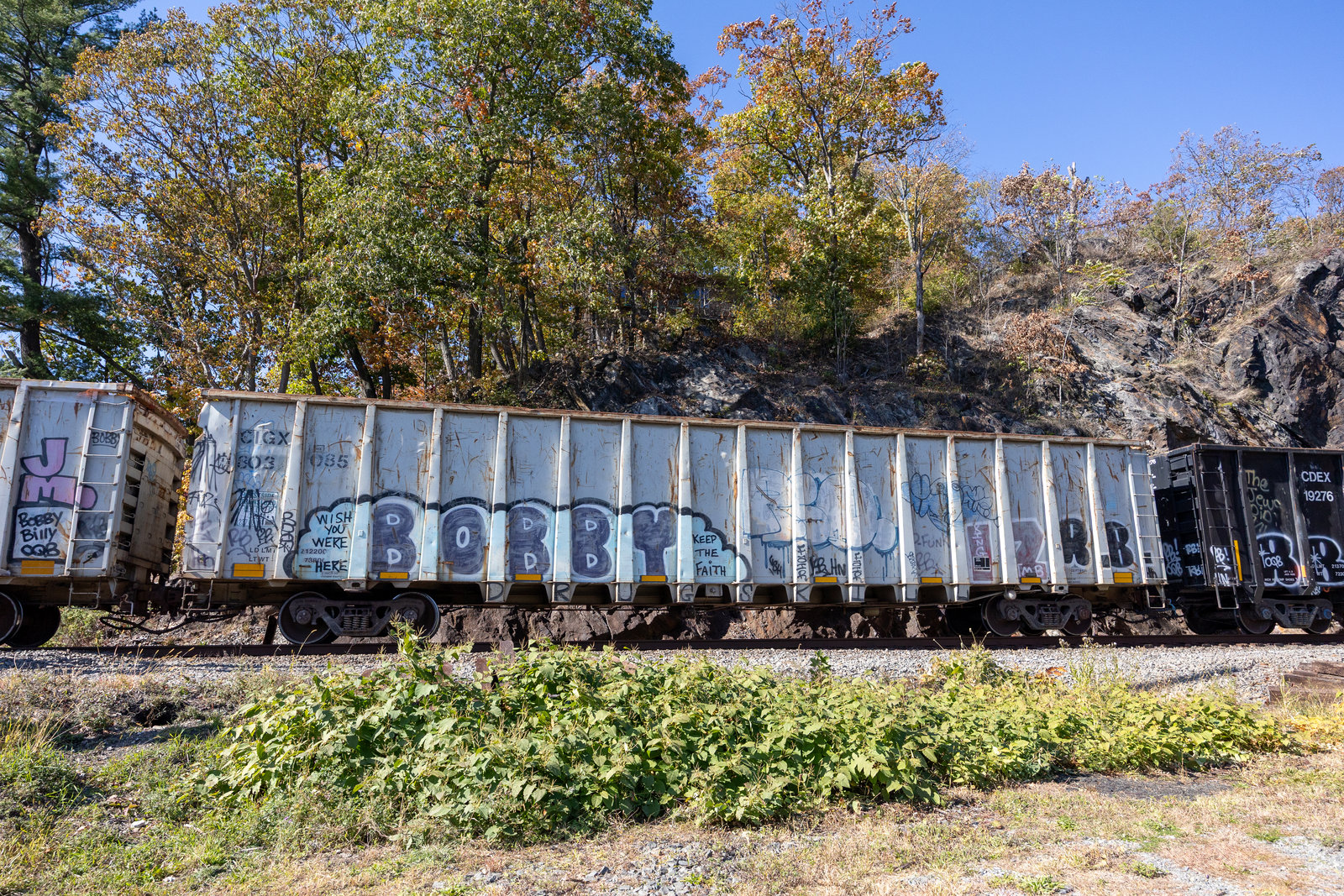 CIGX 303085