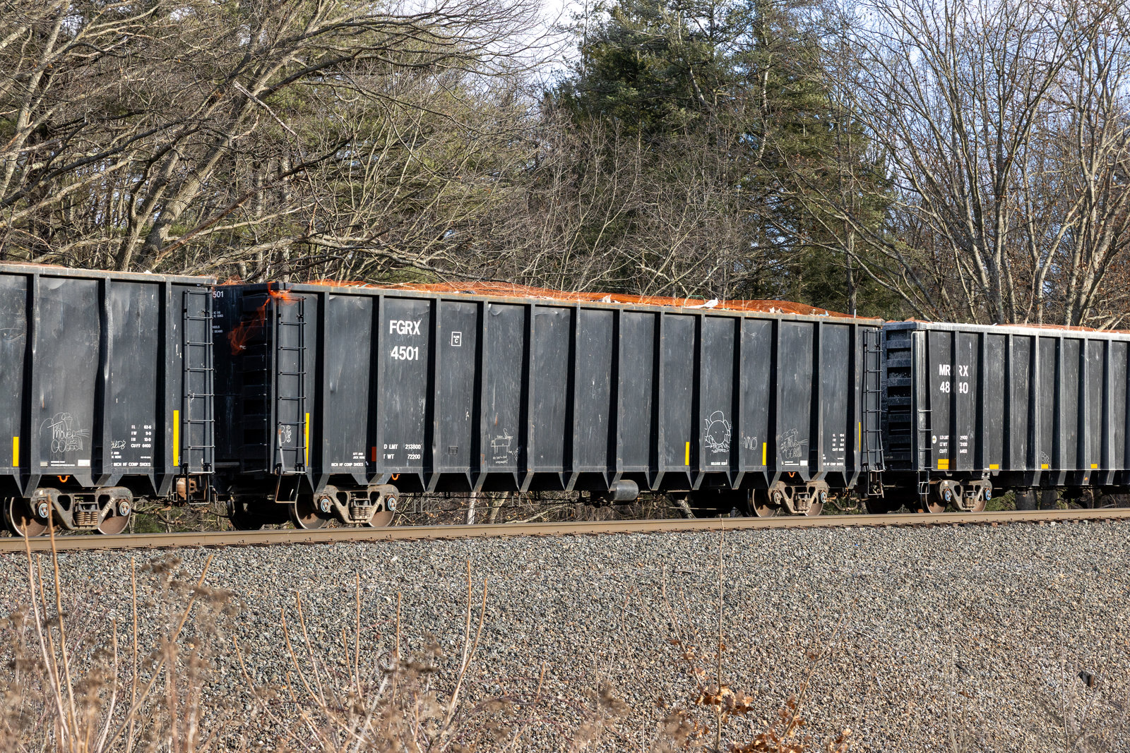FGRX 4501