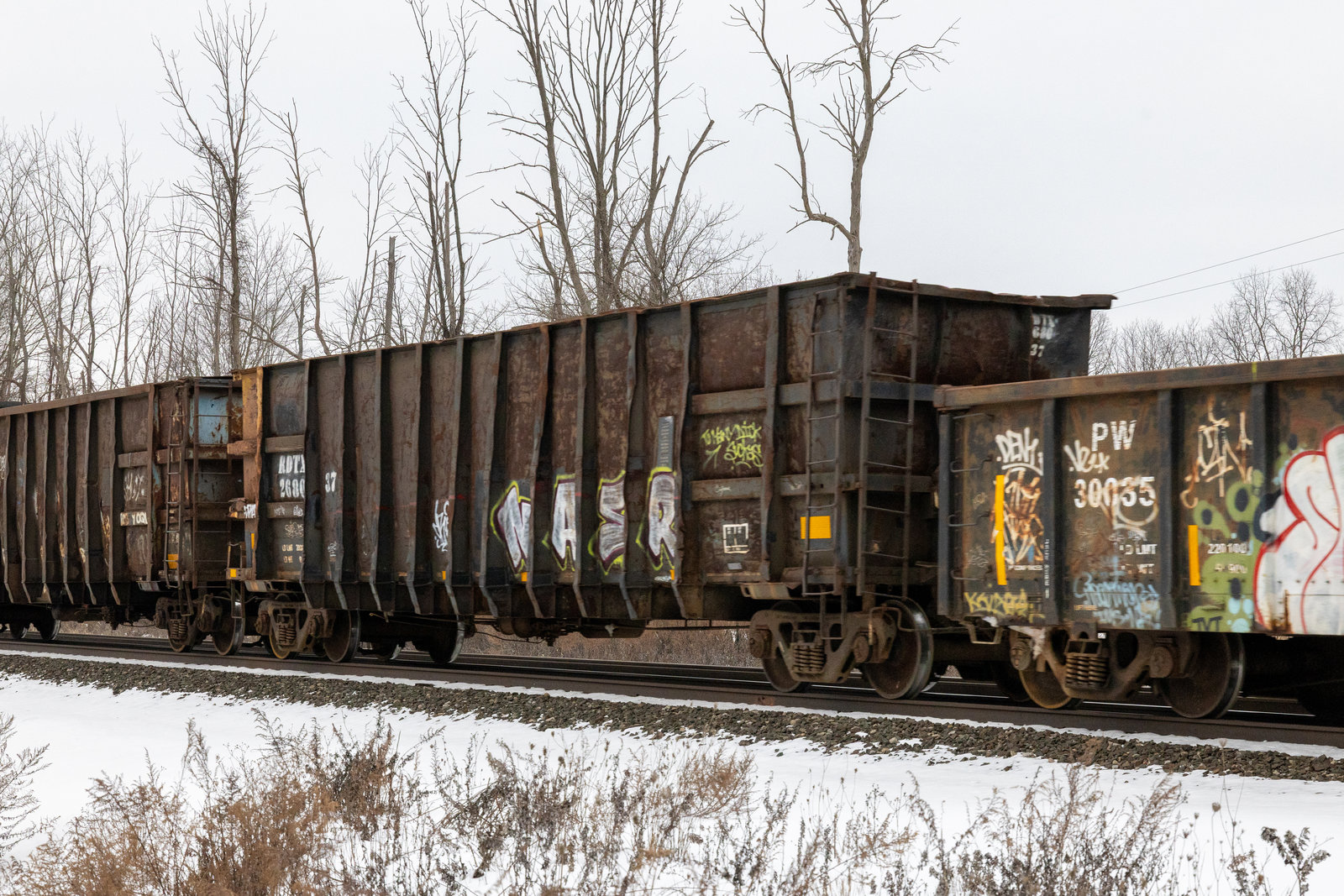 RDTX 268037