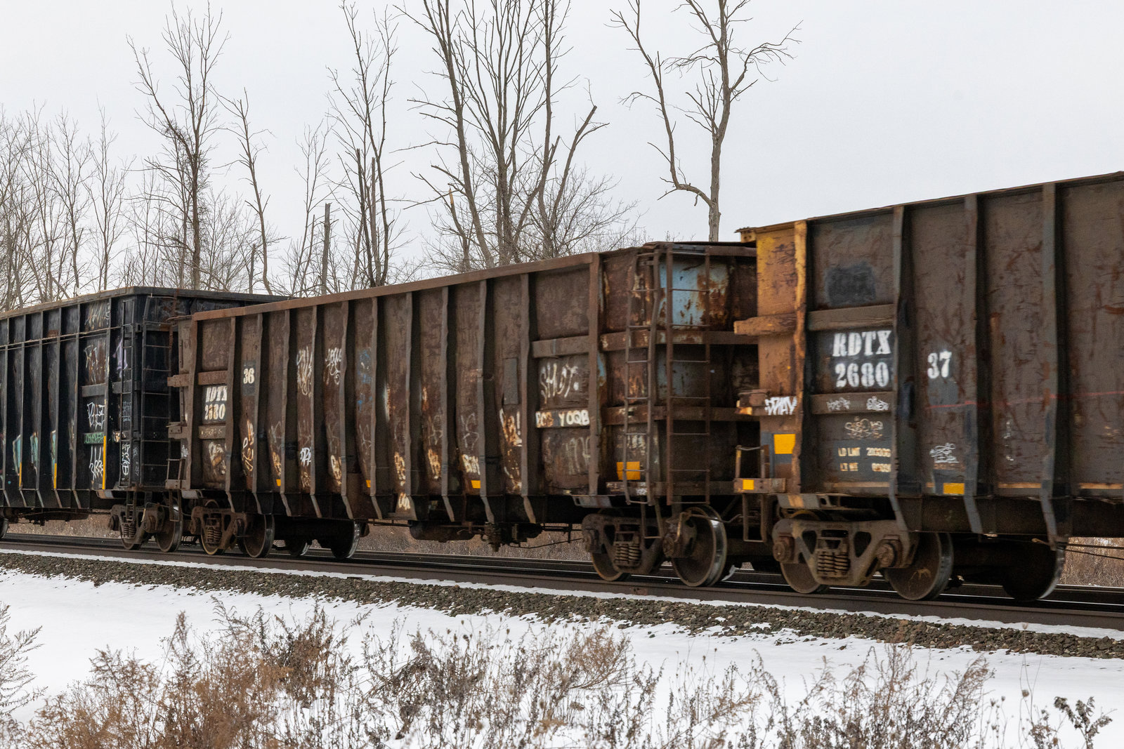 RDTX 268036