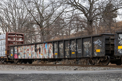 GNBC 4509