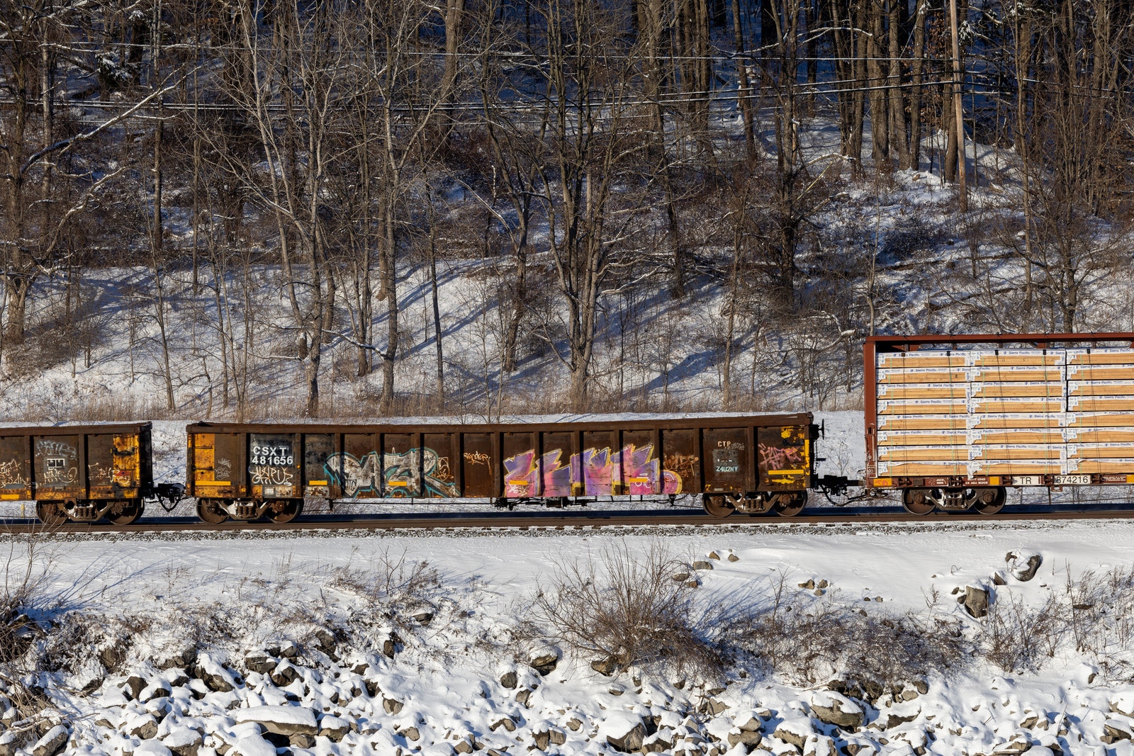 CSXT 481656