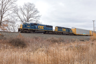 CSXT Q225 @ New Scotland, NY