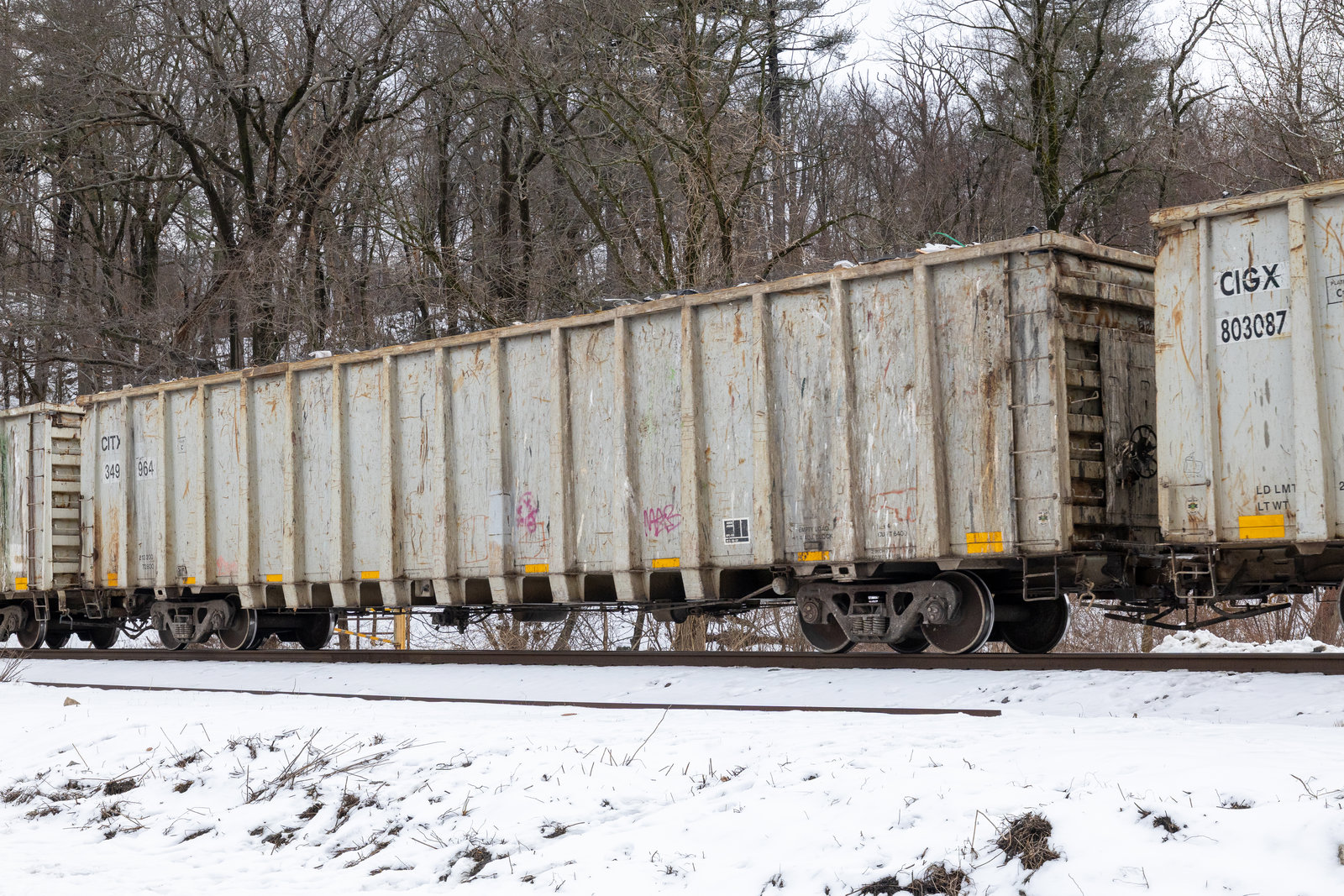 CITX 349964