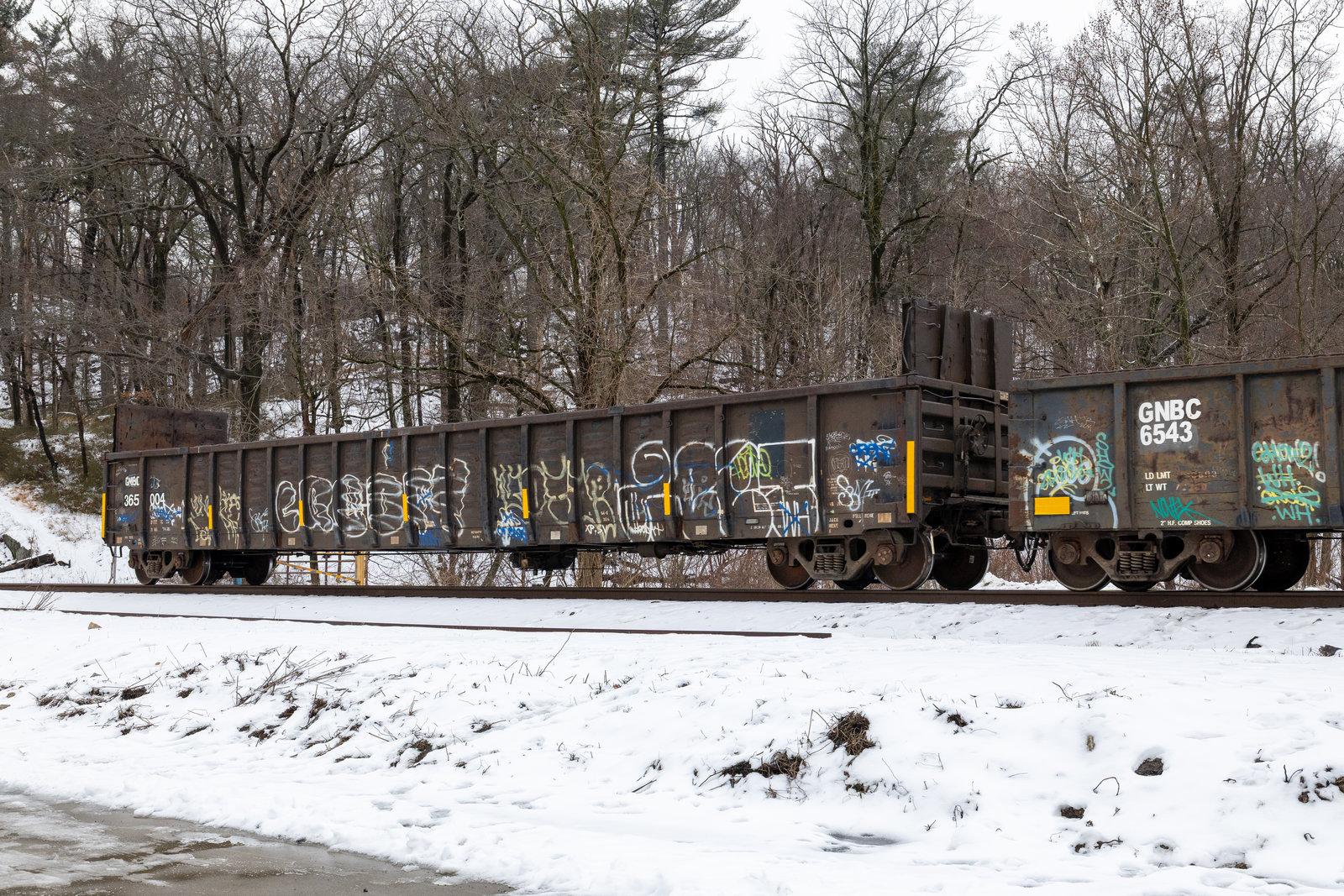 GNBC 365004