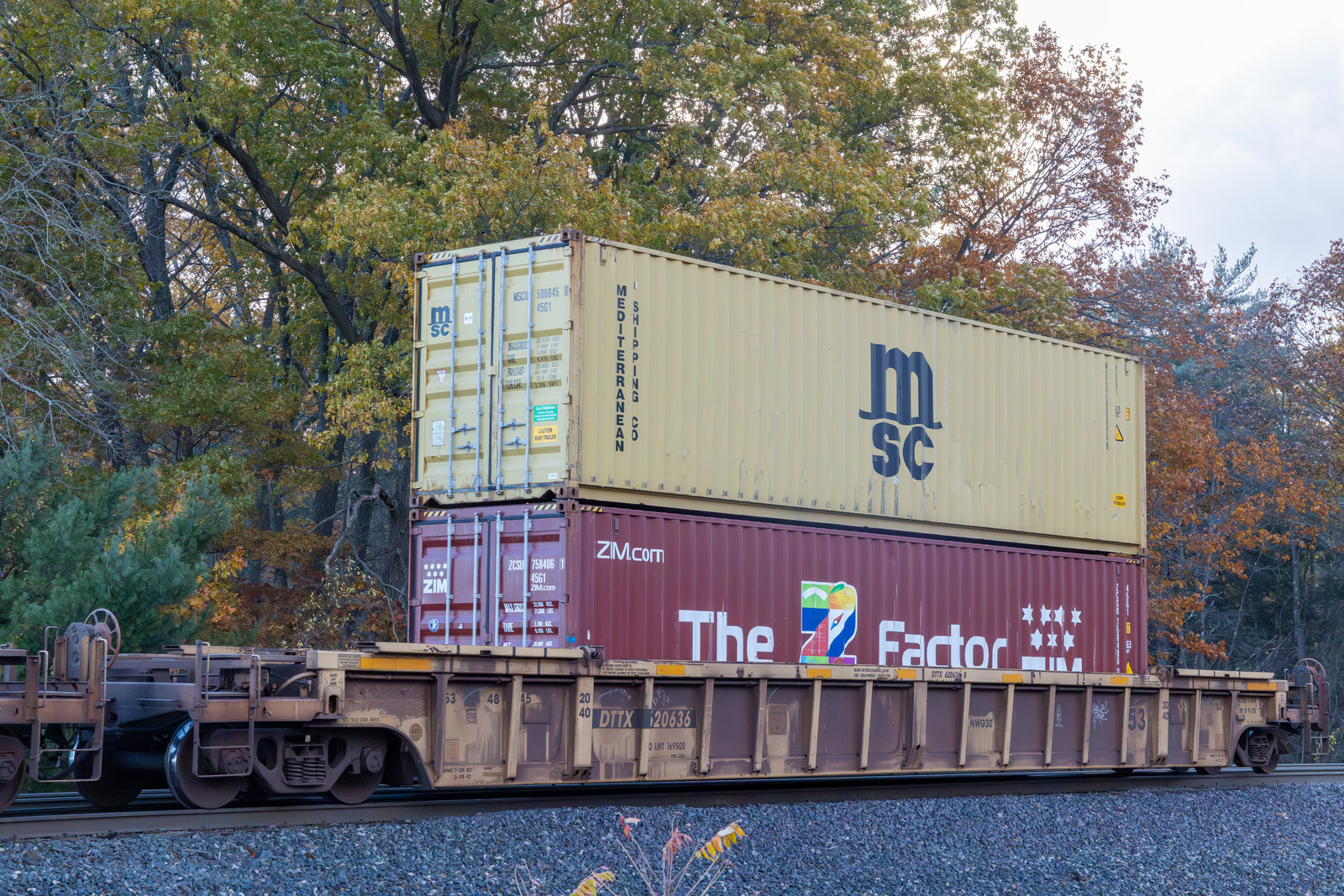 DTTX 620636B