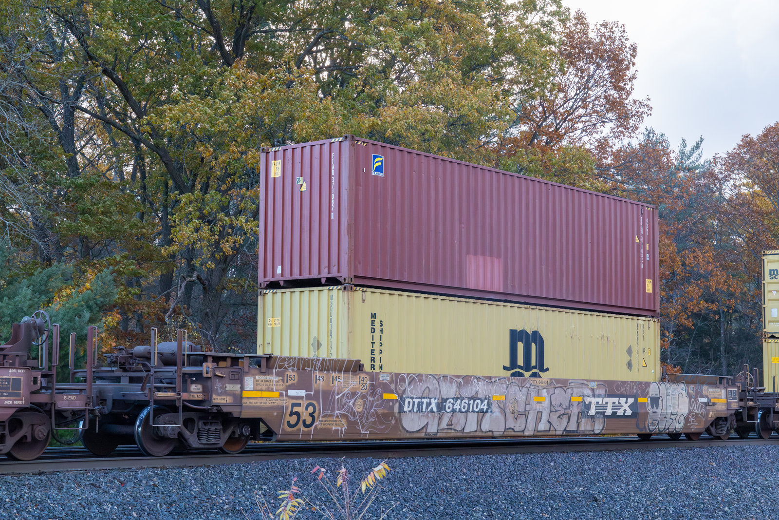 DTTX 646104