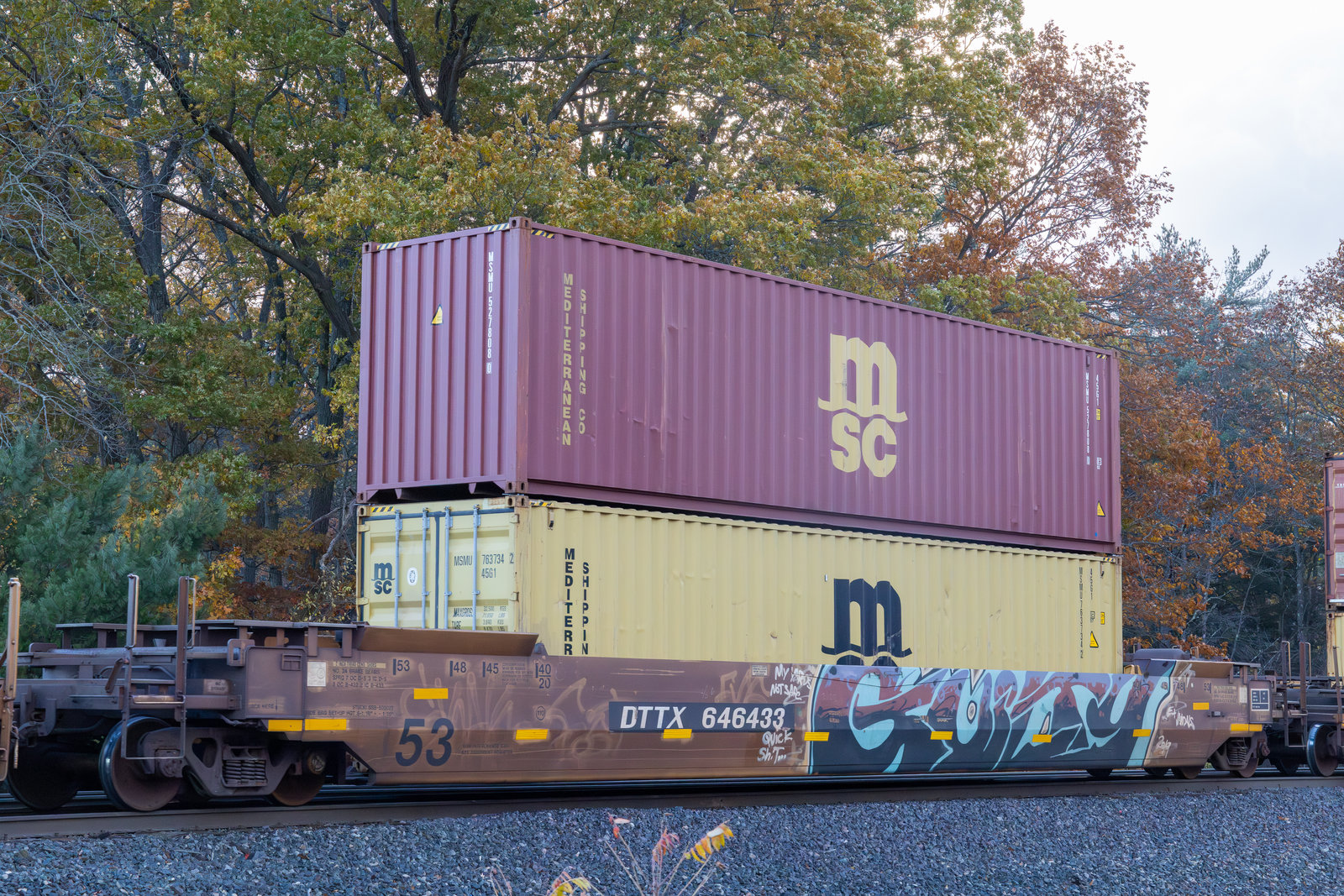 DTTX 646433