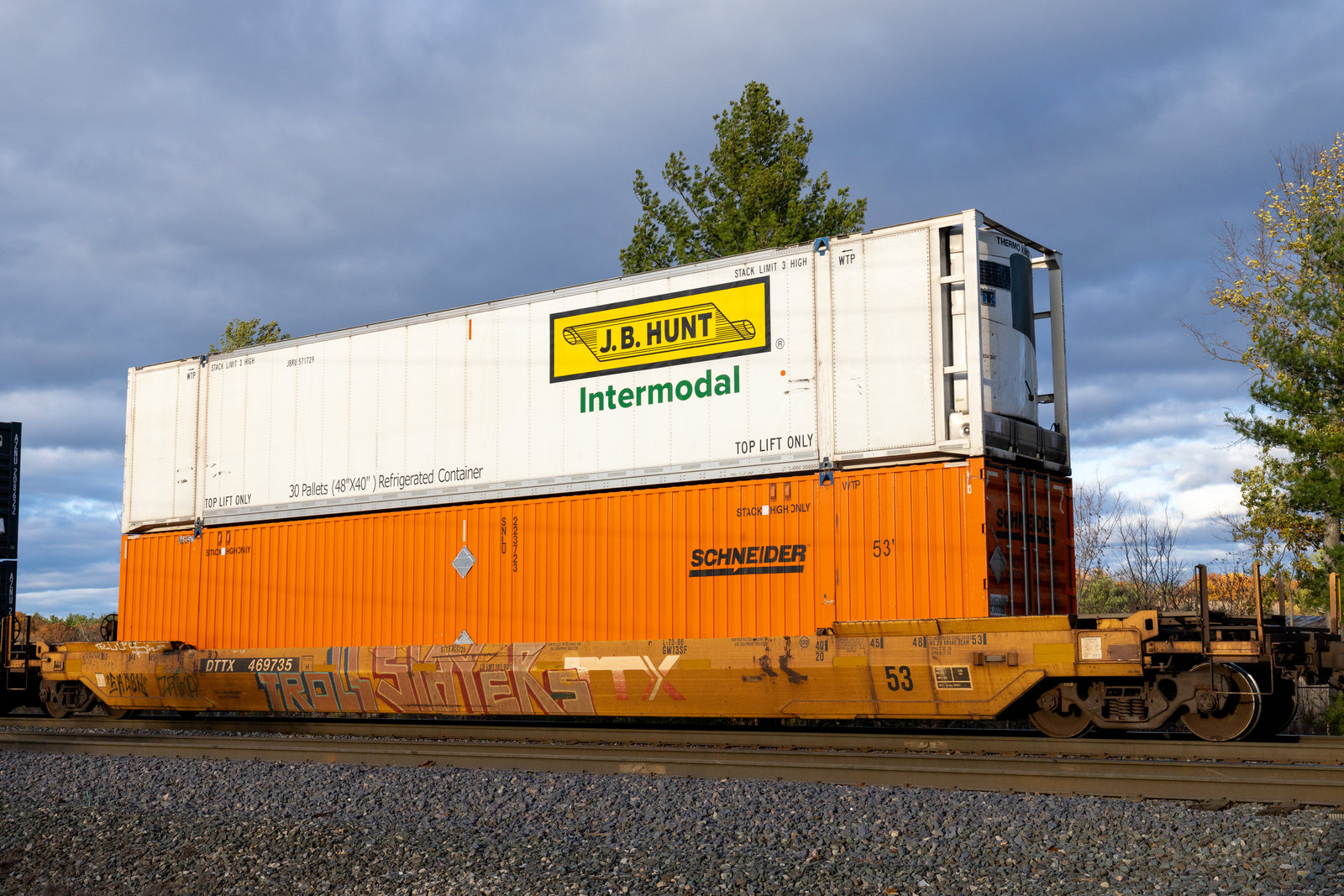 DTTX 769735