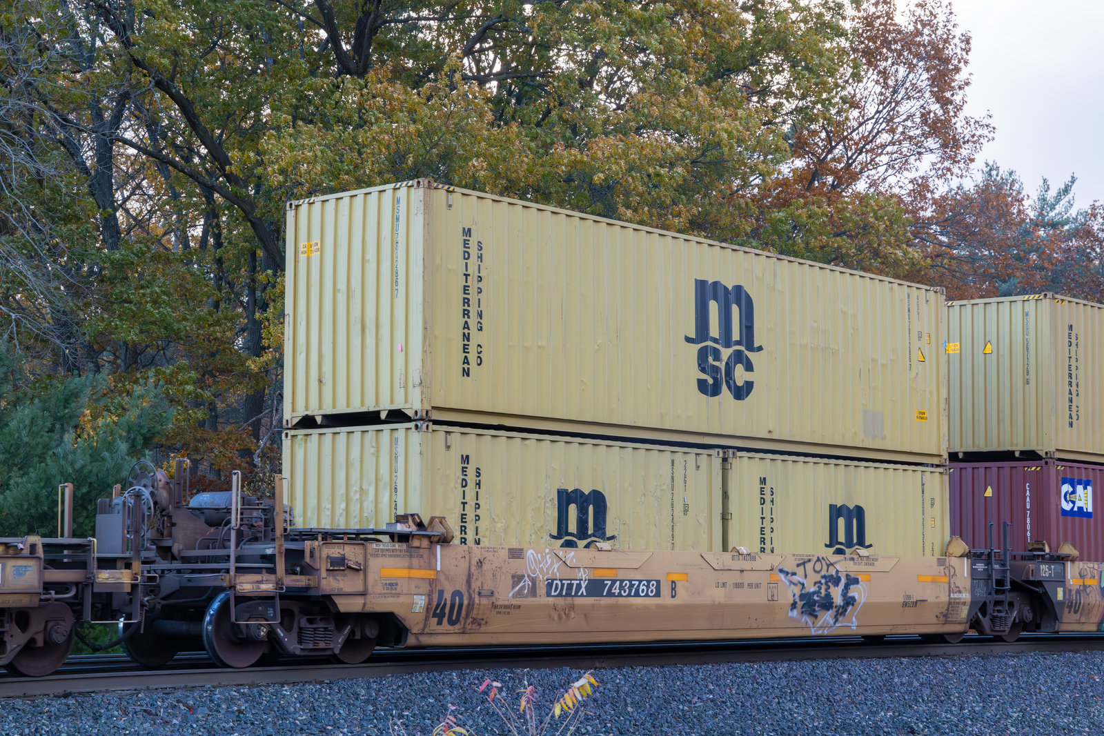 DTTX 743768B