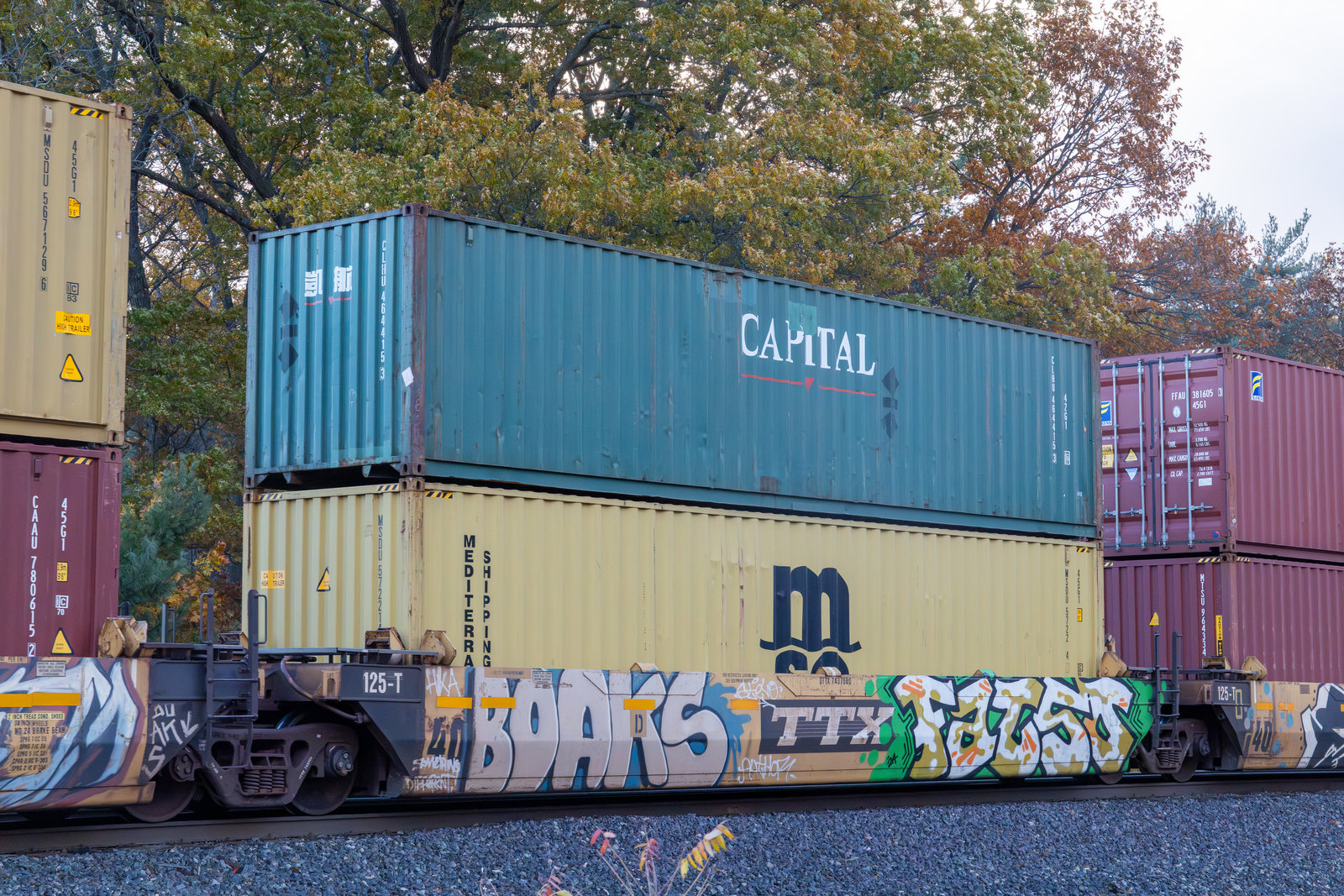 DTTX 743768D
