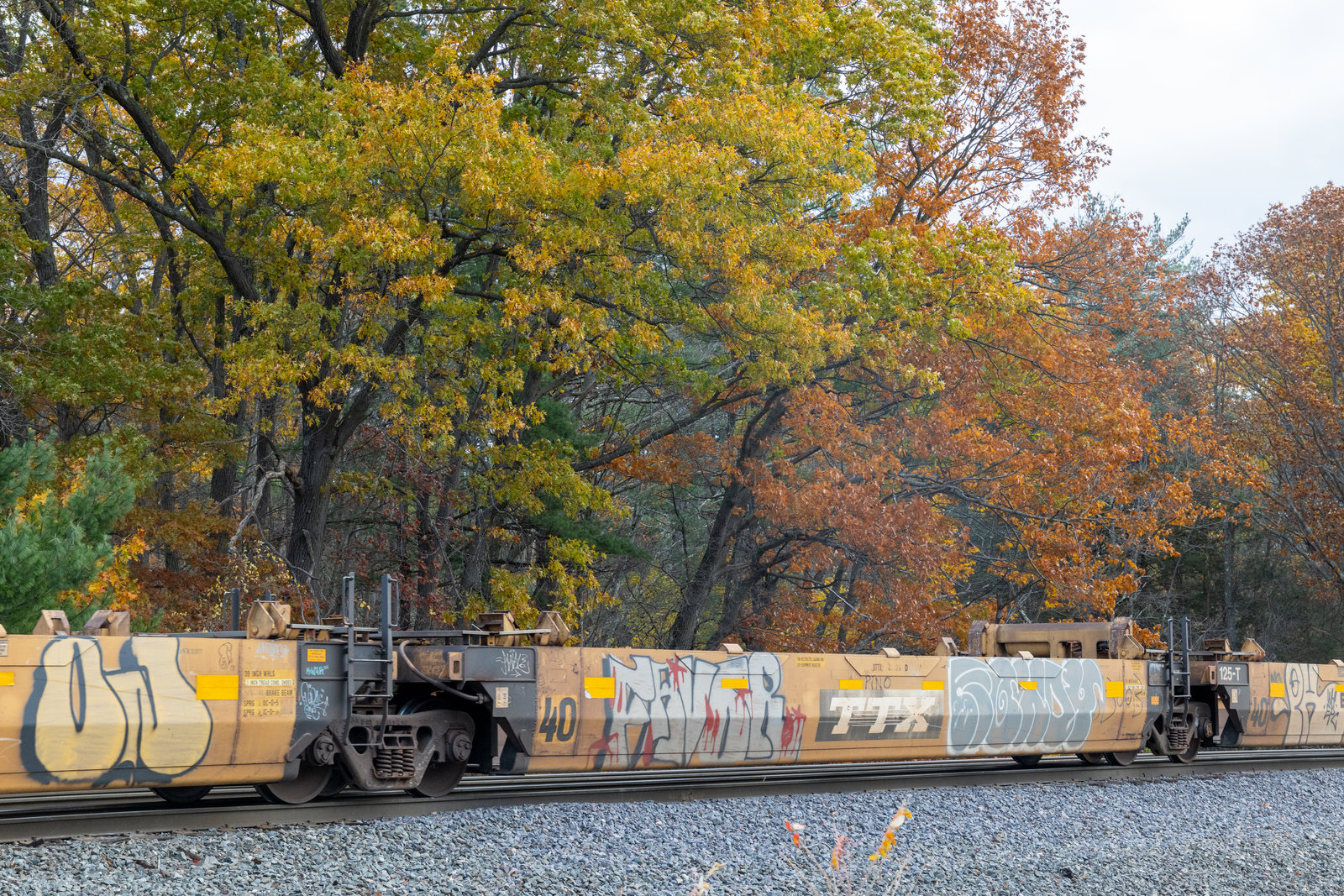 DTTX 743226D