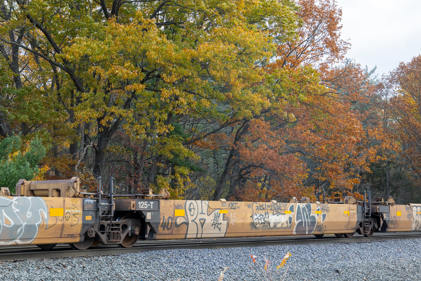DTTX 743226E