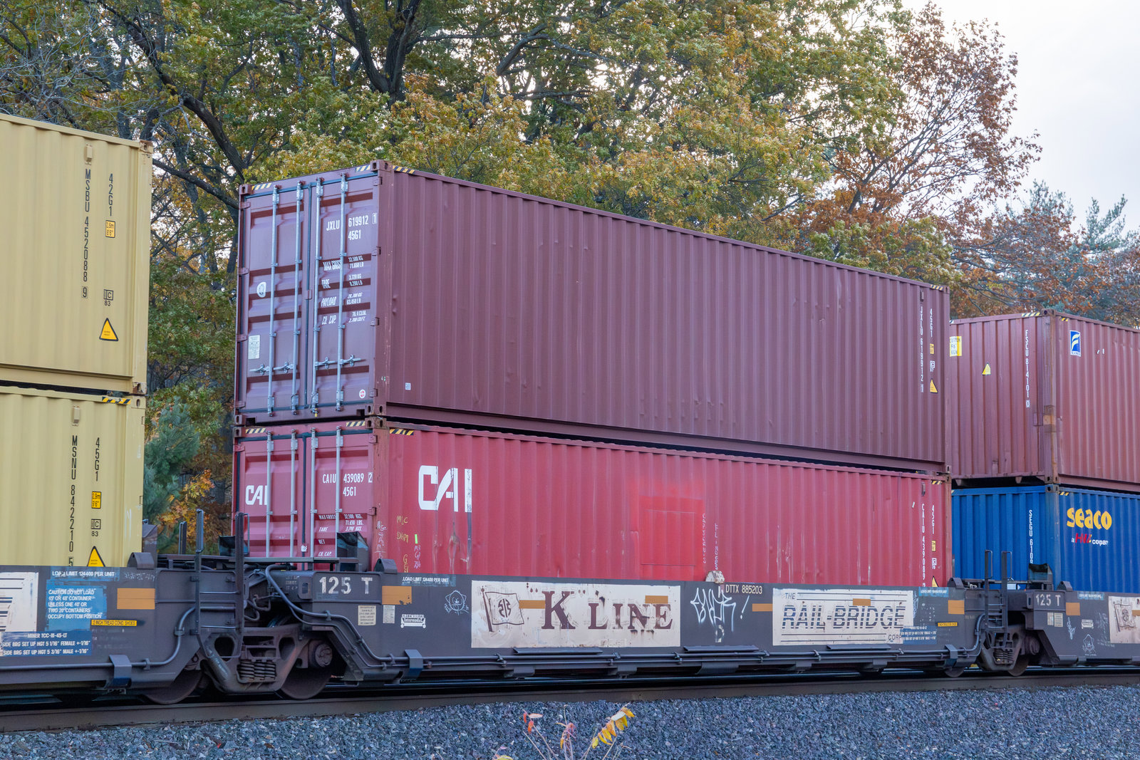 DTTX 885203D