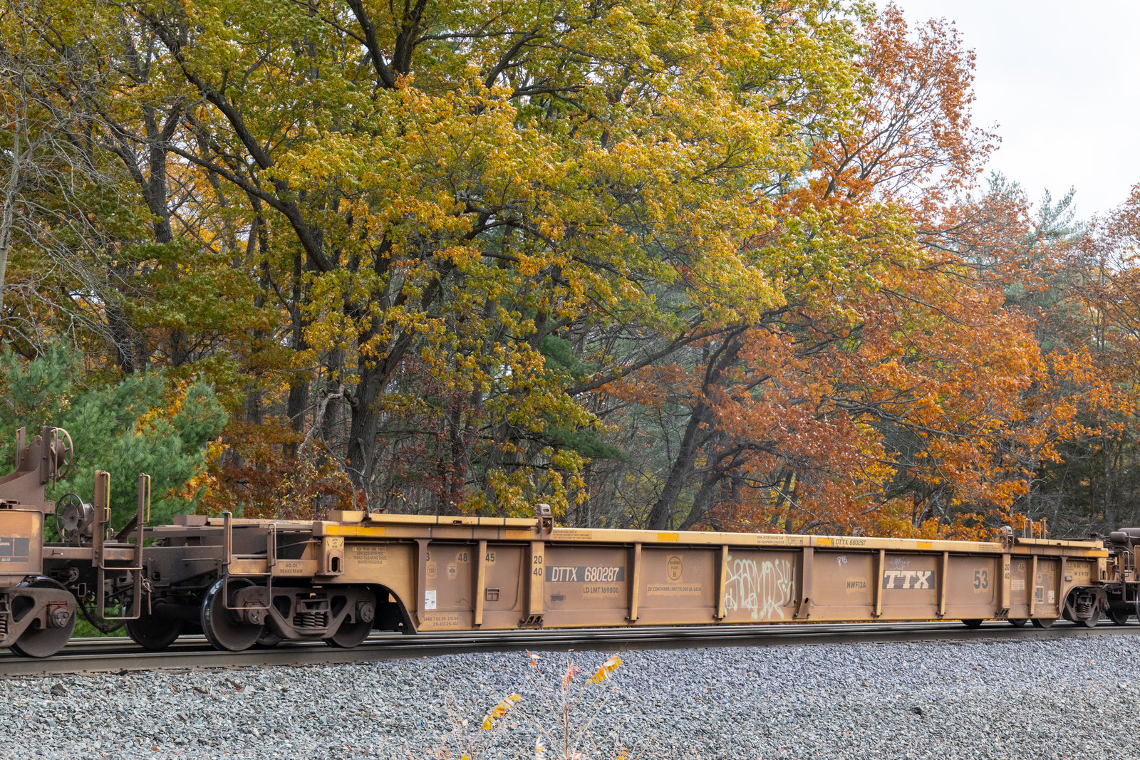DTTX 680287