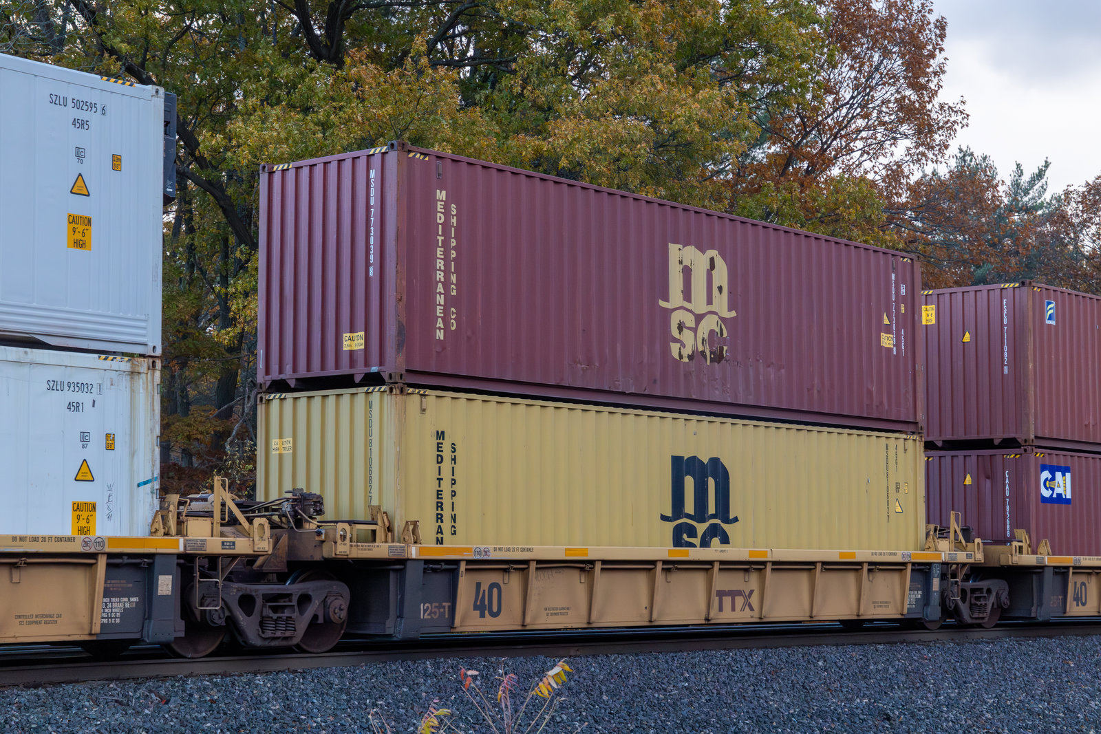 DTTX 748247D