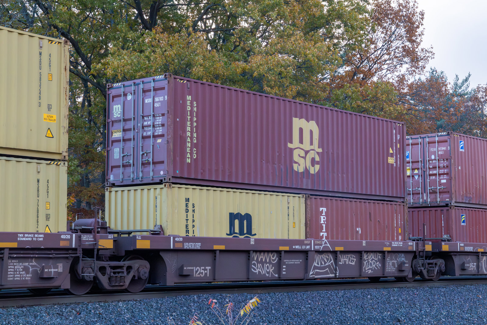 BNSF 239423E
