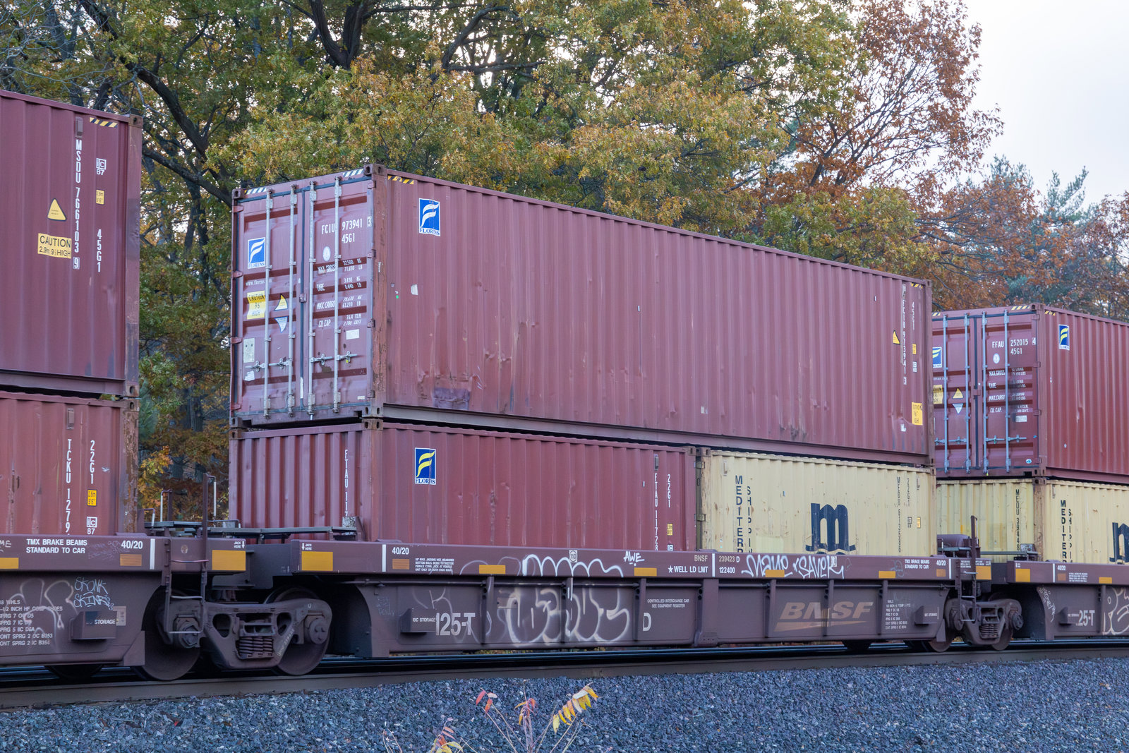BNSF 239423D