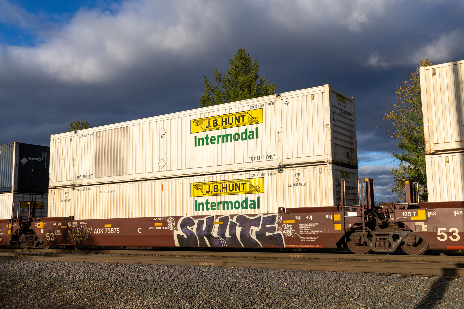 AOK 73875C