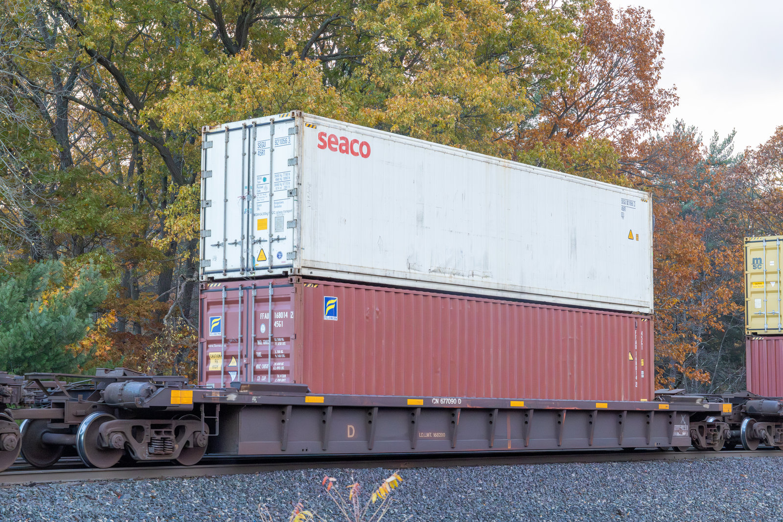 CN 677090D