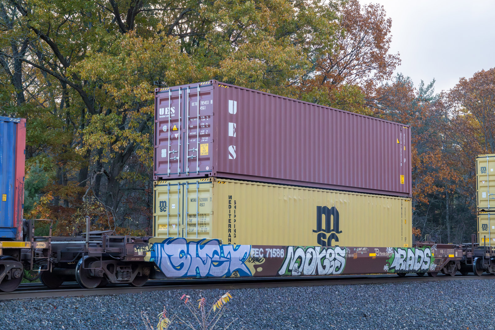 FEC 71586