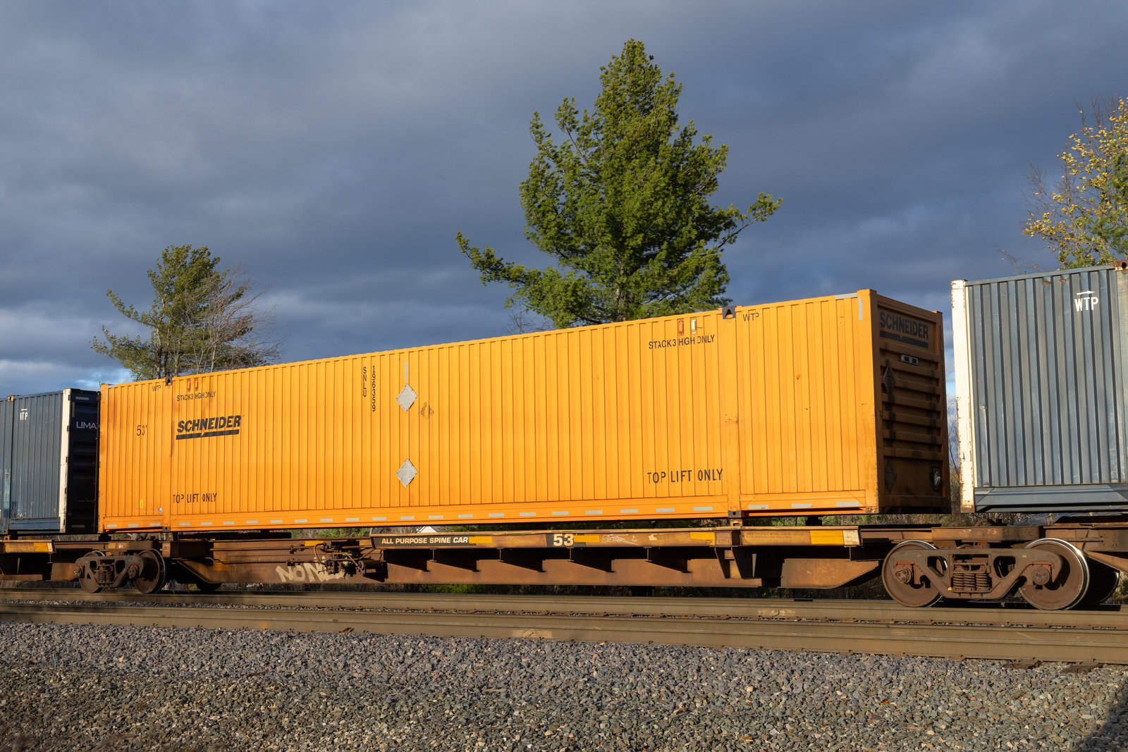 TTAX 554019D