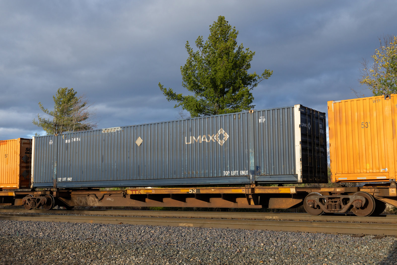 TTAX 554019C