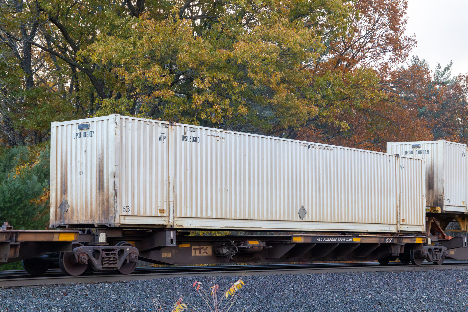 TTAX 653080D