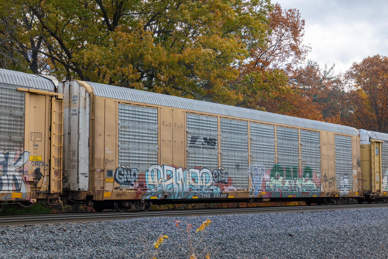TTGX 691488