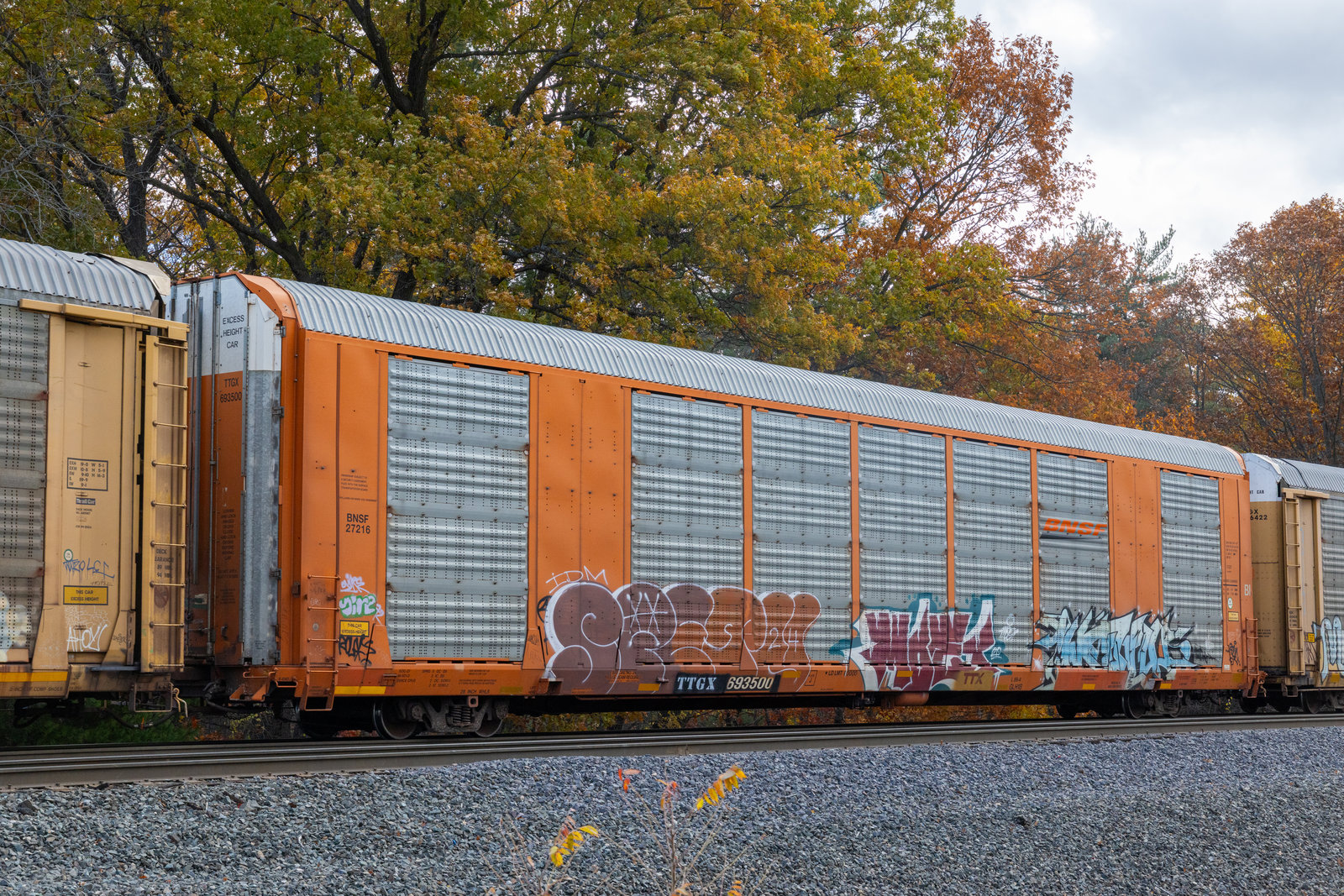 TTGX 693500