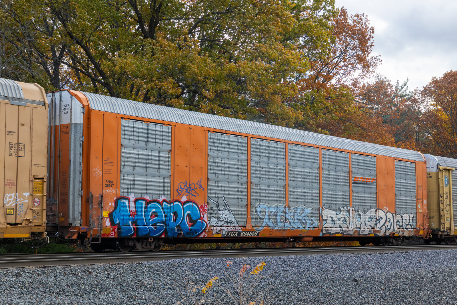 TTGX 694856