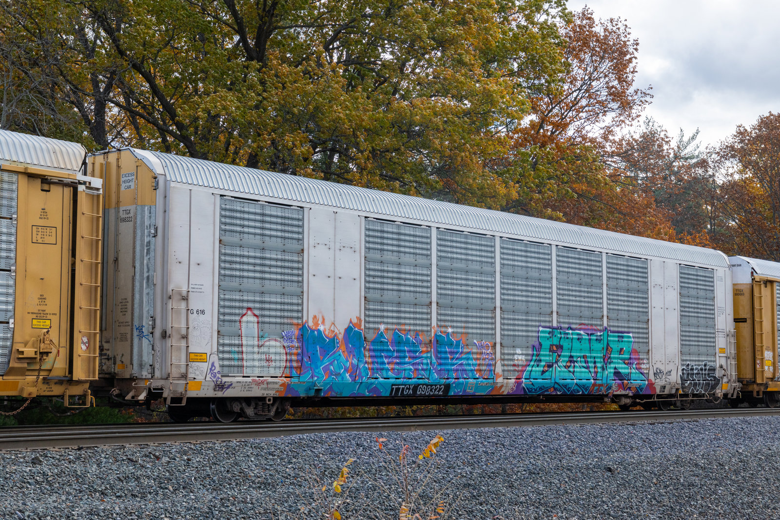 TTGX 698322