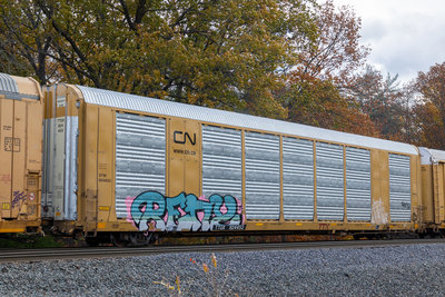 TTGX 824453