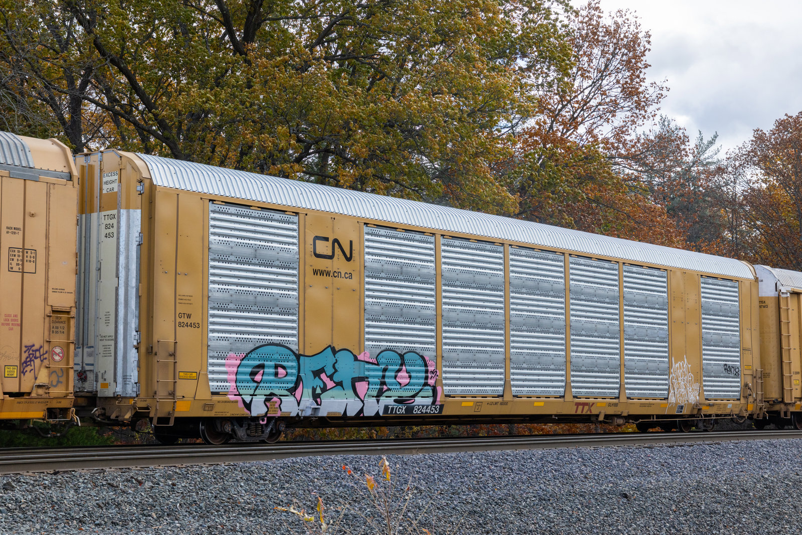 TTGX 824453