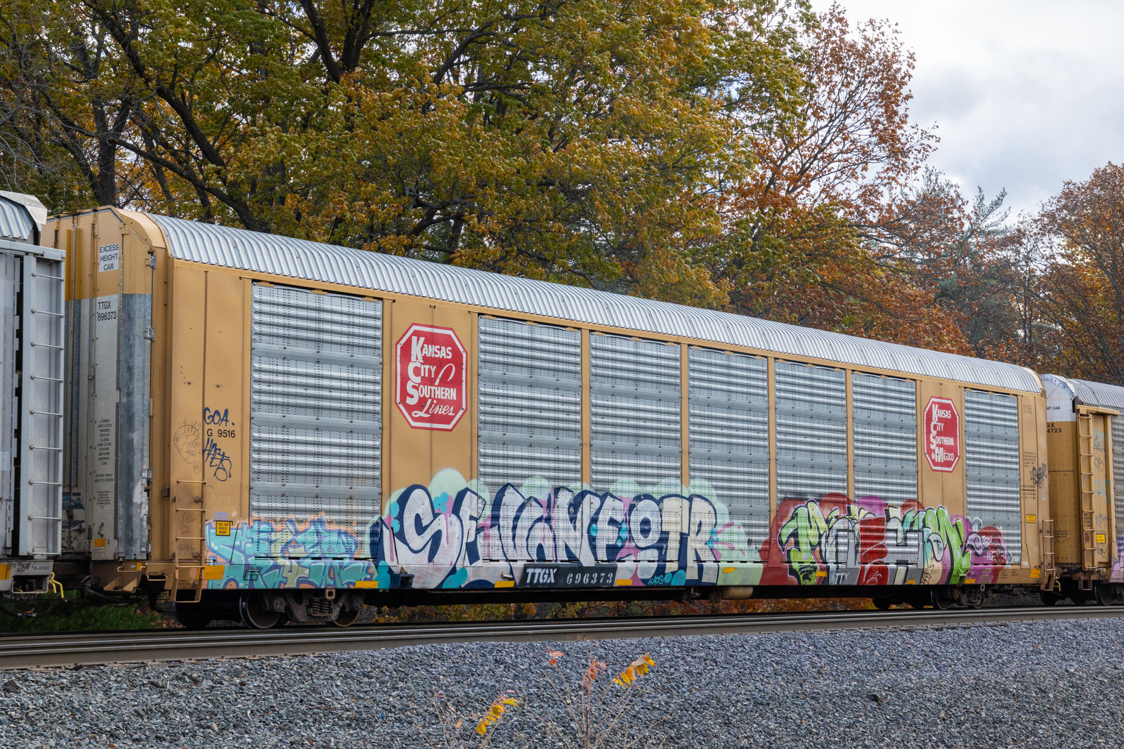 TTGX 696373