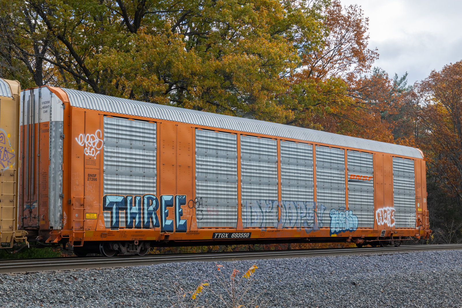 TTGX 693550