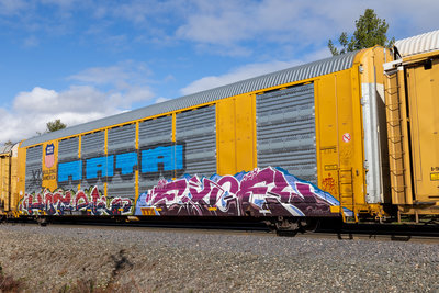 TTGX 699221