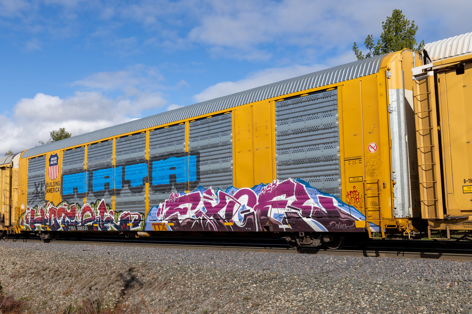 TTGX 699221